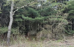 Fairmont Road, Starrucca, PA 18462
