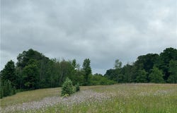 Mcgraw Marathon Road, Marathon, NY 13803
