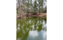 909 Cox Ave., Bainbridge, GA 39819