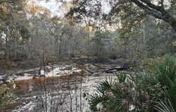 W Osprey Lane, Monticello, FL 32344