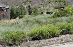 106 Manzanita, Aspendell, CA 93514