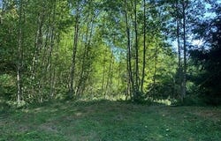 0 2500 RD, Toutle, WA 98649
