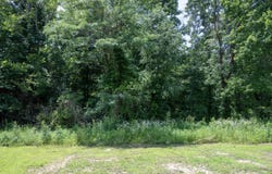 Lot 23 Outlook Drive, Owingsville, KY 40360