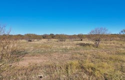 Tbd Lot 23 Brazos Valley RD Road, Mineral Wells, TX 76068