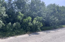 * Frontera, Del Rio, TX 78840