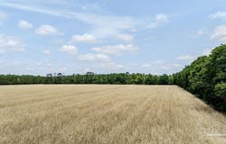 Daybreak Ln lot: 9, Pace, FL 32571
