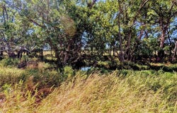 2293 Minnesota Road, Iola, KS 66749