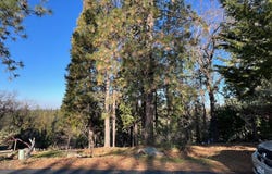 1238 Canyon Ridge Court, Murphys, CA 95247