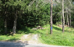 1265 Meeker Hollow Road, Roxbury, NY 12474