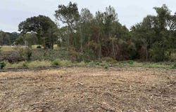 CR 314 - 15 acres, Henderson, TX 75652