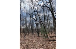 18655 Forest Beach Drive, New Buffalo, MI 49117