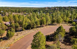 2794 SkyHawk Drive, Overgaard, AZ 85933
