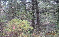 Off MILL RD, Ogema, WI 54459