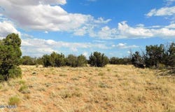 6251 Dry Pasture Run Lot 216, Heber, AZ 85928