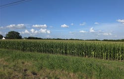 000 FM 543, Weston, TX 75009