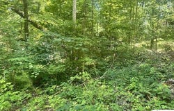 119 Mockingbird Lane, Mammoth Cave, KY 42259