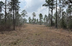 PID 28084 County Divide Road, Pineland, TX 75968