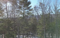 CROSSINGS VIEW ROAD, PAW PAW, WV 25434