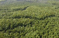 TBD  Vicknair Road, Maurepas, LA 70449