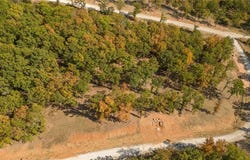 Lot 23 Restore Ridge, Harrison, AR 72601