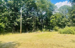 196 LOST RUN RD, LEVELS, WV 25431