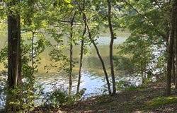 Sunrise Court lot: 46, LOTTSBURG, VA 22511