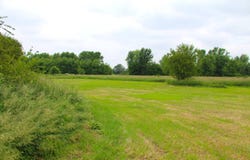 40248 1550 E Rd, Hoopeston, IL 60942