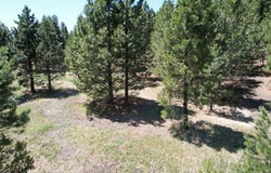 315 Barker Lane, Donnelly, ID 83611