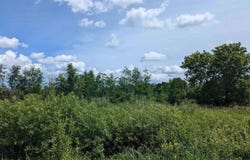 Crosby Road, Turner, MI 48765