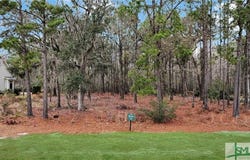 195 Wood Haven Lane, Pooler, GA 31322