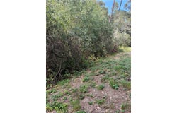 Sheffield Street, Cambria, CA 93428