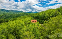 Reynolds Parkway lot: 1, Ferguson, NC 28624