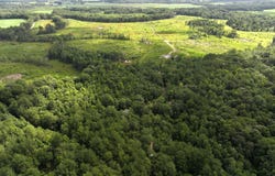 0 Lewis Coombs Road, Trenton, NC 28585