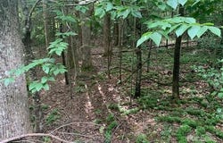 7.67 AC. HOLBERT COVE Road unit: 7.67 Ac., Saluda, NC 28773