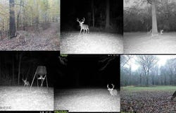 1 Rodney Bend Road, Lorman, MS 39096