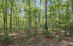 LOT 4 HIGHLAND DRIVE, HIGH VIEW, WV 26808