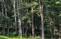 336 HOWARD DELAWDER Lane, MATHIAS, WV 26812