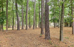 103 Greenbriar Lane lot: 133, Washington, NC 27889