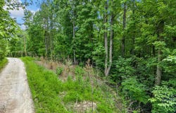 0 Bowater Pass, Fountain Inn, SC 29644