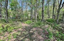 Royal Street, Midvale, OH 44653