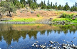 45469 WALL CREEK RD, Monument, OR 97864