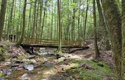 0 Oak Leaf Lane, Dunlap, TN 37327