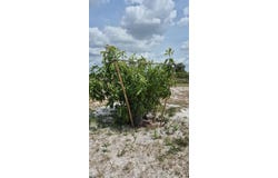 18669 NW 262ND STREET, OKEECHOBEE, FL 34972