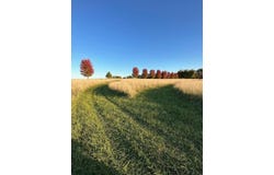 21 Ac Bailey Road, Sun Prairie, WI 53590