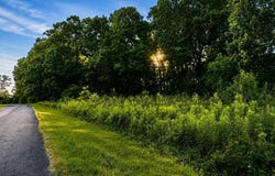 Tract A & B River Pointe Drive, Cedar Bluff, AL 35959