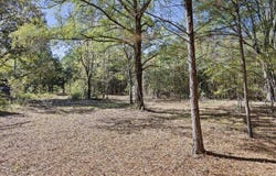 307 Highway, Bluffton, AR 72827