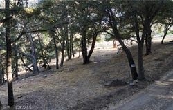 722 Mojave River Road, Cedarpines Park, CA 92322