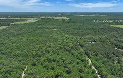 Tbd Pvt. Rd 8079 Road, Ben Wheeler, TX 75754