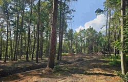 6 Chester Road, Perryville, AR 72126