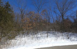 4 Boulder Lane, Galena, IL 61036